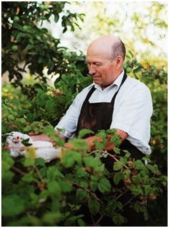 Free Gardening and Landscaping Guides, Hints and Project Plans - Check out a directory full of hundreds of great ideas.