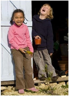 Need a New Shed? Choose from 100+ free plans for all types of sheds and backyard buildings.