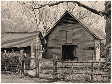 Free Homestead Outbuilding Designs from North Dakota State University Agrictural Extension Service - Find useful small farm buildings like farm stands, smoke houses, chicken coops and much more. 