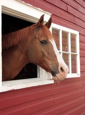 Twelve Free Horse Barn Plans from the Ag Center at Louisiana State University