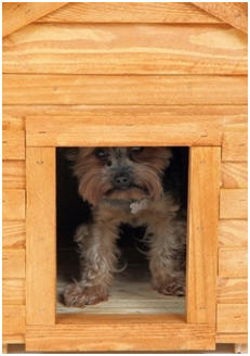 800+ Free Backyard Project Plans and Do It Yourself Guides