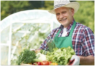 Free Hoop House Style Greenhouse Plans and Growing Guides